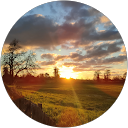 Healing Therapy profile picture