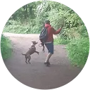 Mel Holmes profile picture